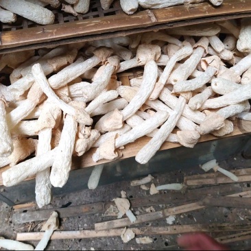竹荪球头茬竹荪10～15福建古田特产精装货