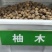 树木种子柚木种子柚木树种子南方珍贵树种缅甸柚木种子