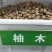 树木种子柚木种子柚木树种子南方珍贵树种缅甸柚木种子