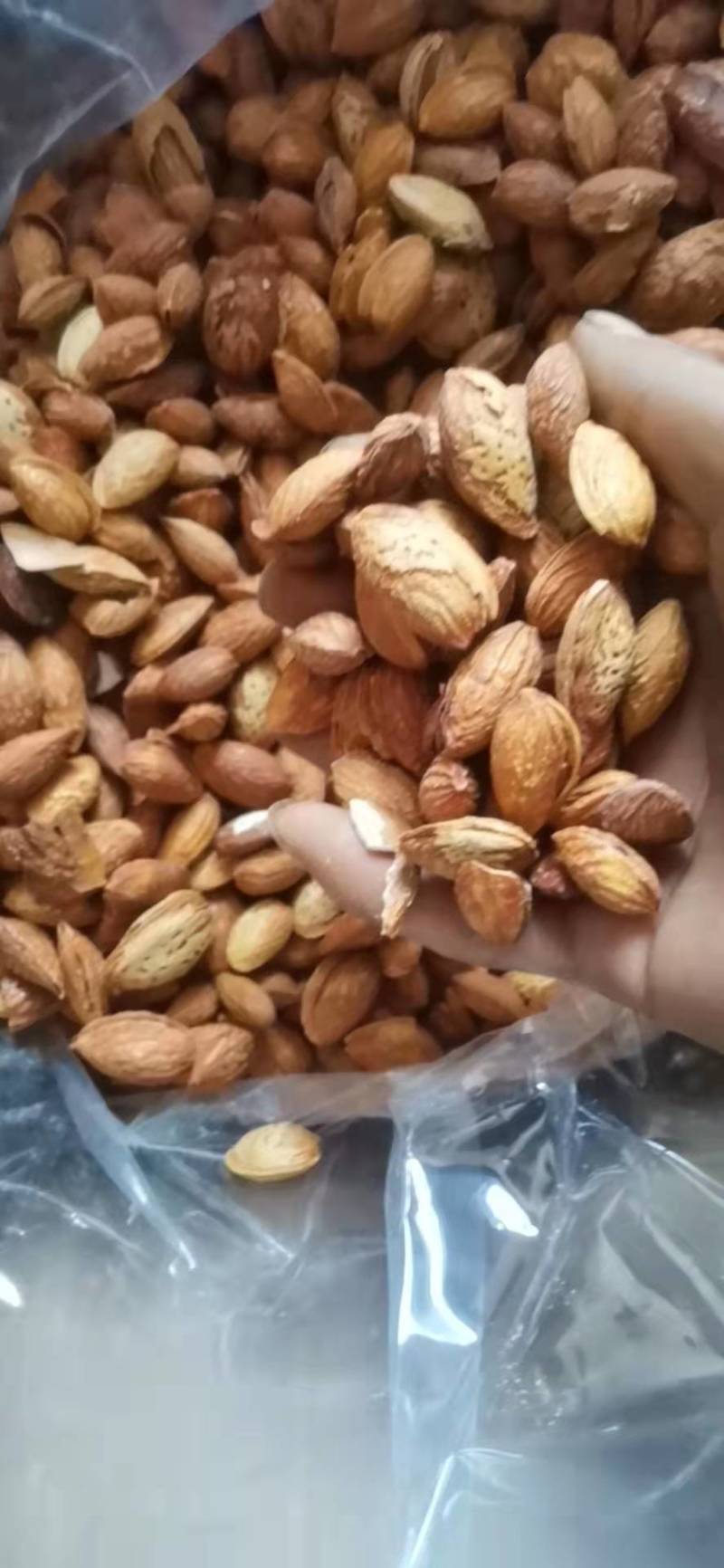 跑江湖地摊展会热卖NP薄壳巴旦木奶香味，新果，皮薄易剥。