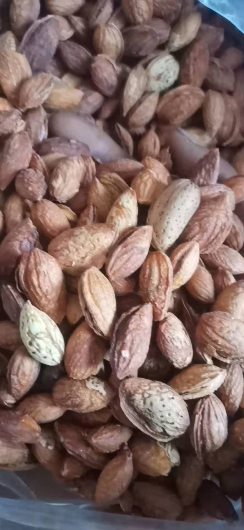跑江湖地摊展会热卖NP薄壳巴旦木奶香味，新果，皮薄易剥。