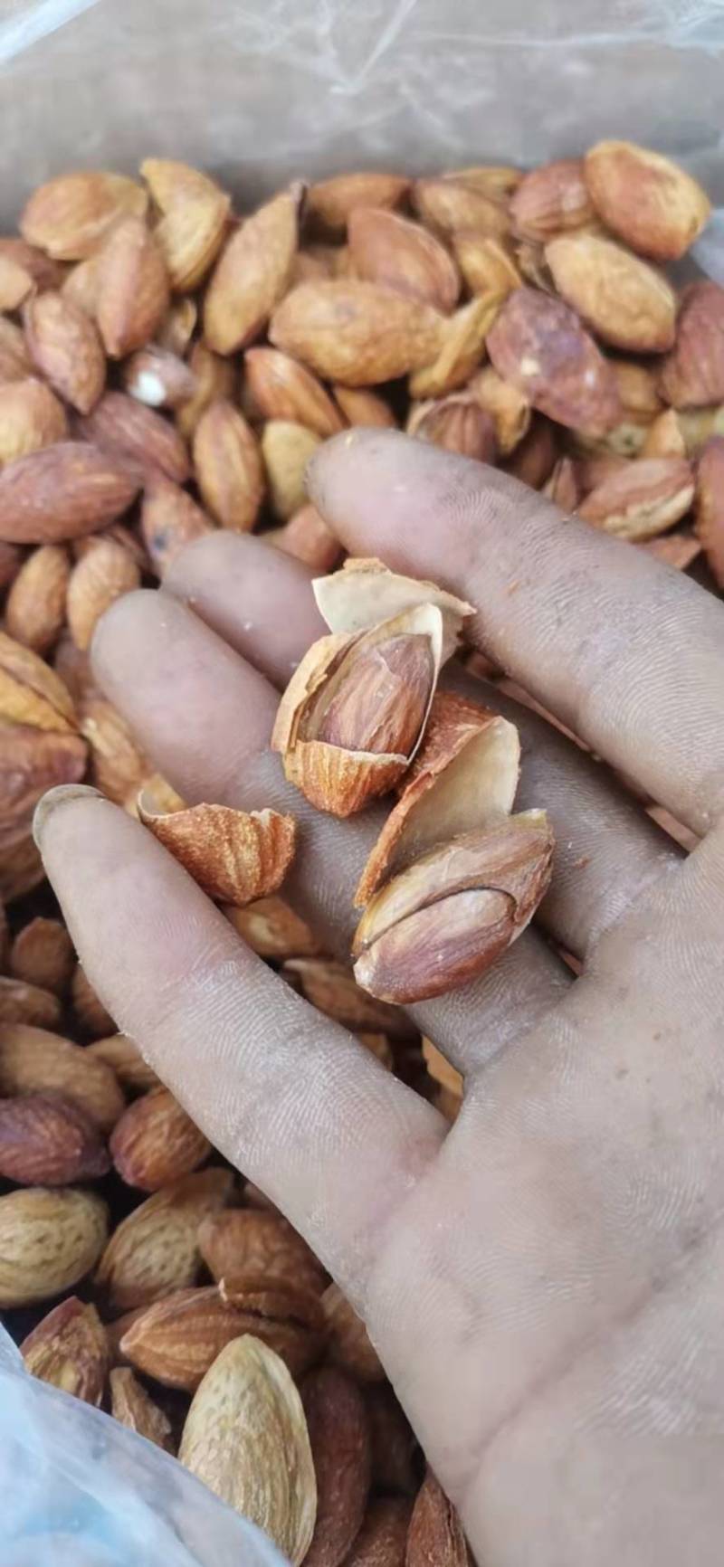 跑江湖地摊展会热卖NP薄壳巴旦木奶香味，新果，皮薄易剥。