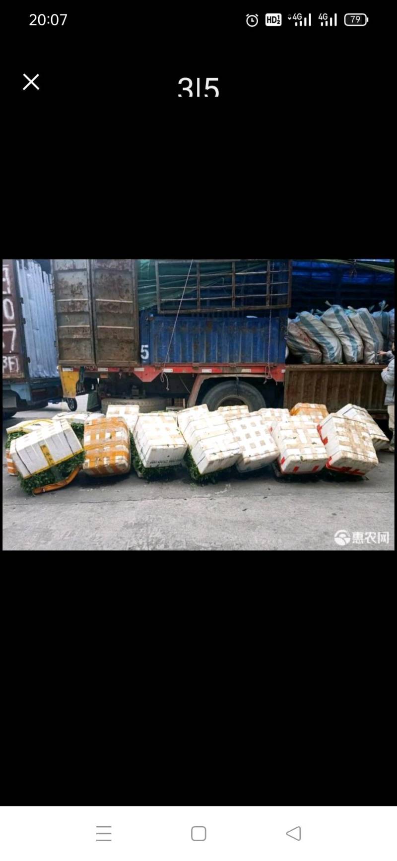 新鲜艾叶现摘现发可用于艾果，青团，艾糍，火锅等