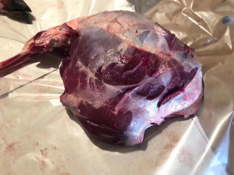 梅花鹿肉新鲜嫩活杀鹿场直销十斤包邮坏包赔