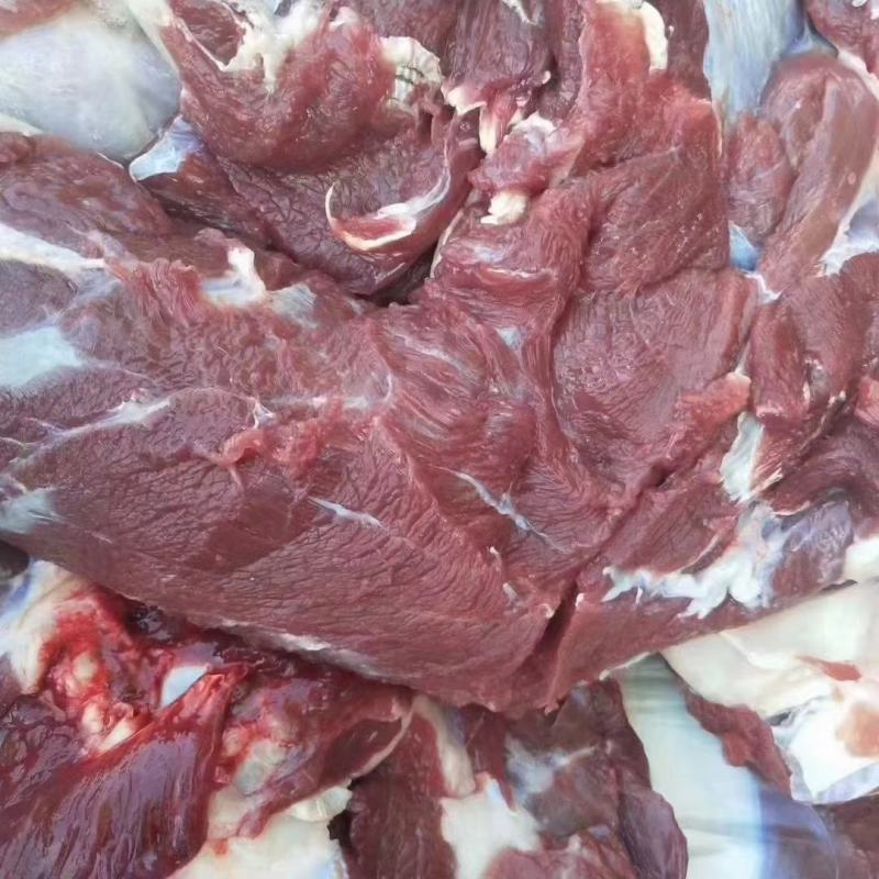 梅花鹿肉新鲜嫩活杀鹿场直销十斤包邮坏包赔