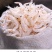 （包邮）虾皮新鲜纯正天然淡干补钙辅食小虾仁新货鲜咸虾皮