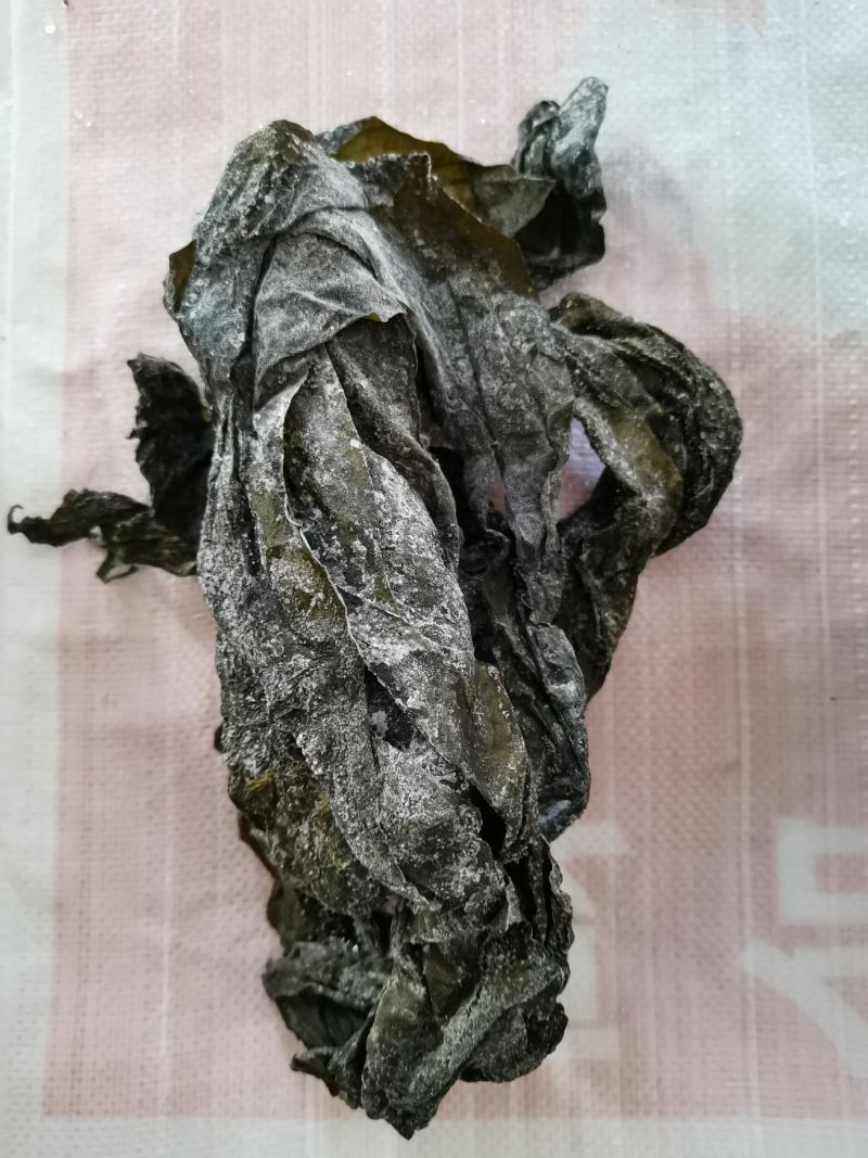 深海小海带：新品淡干海带.叶片嫩绿.懂行下单.全国发货