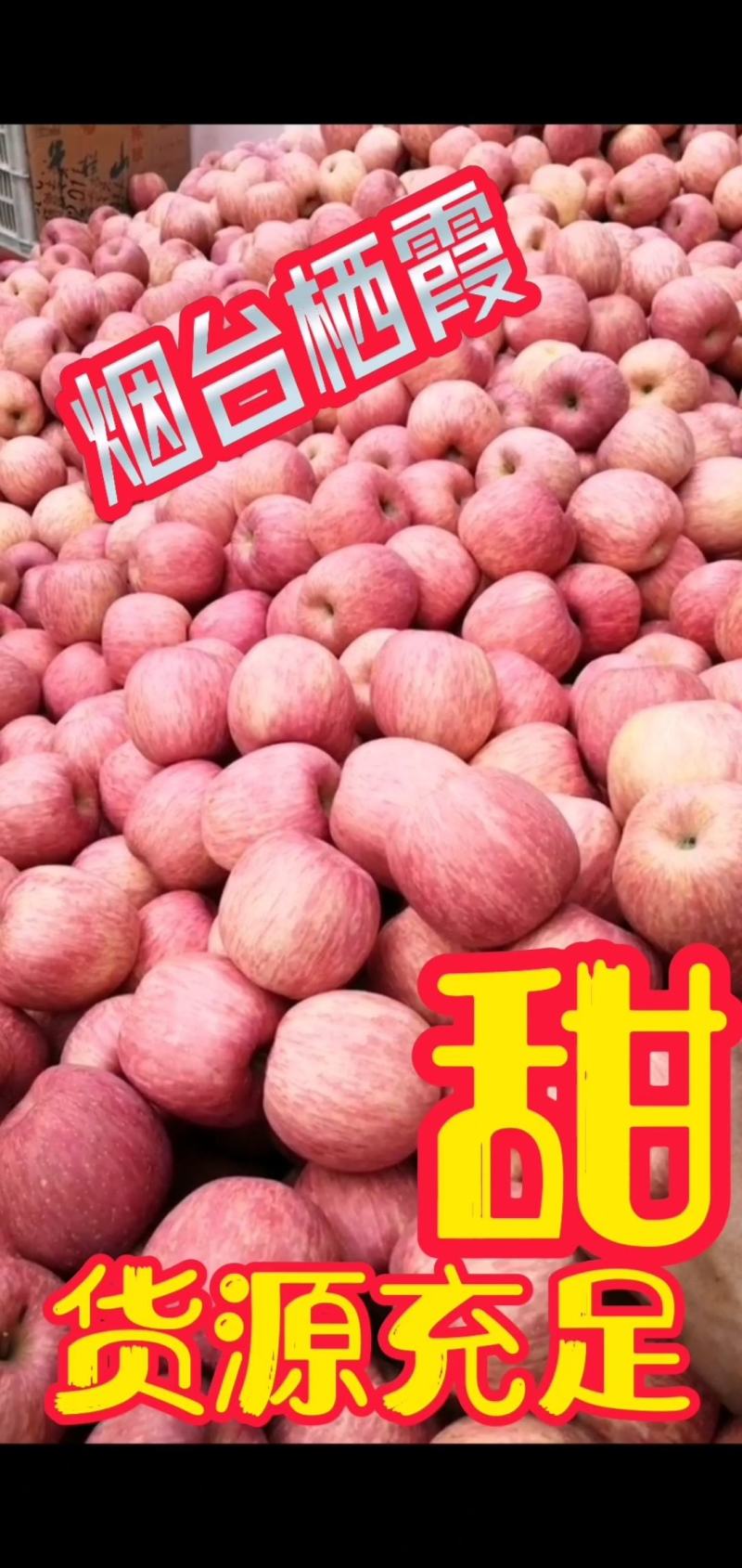 烟台栖霞苹果，产地直发，一手货源，代收，一件代发