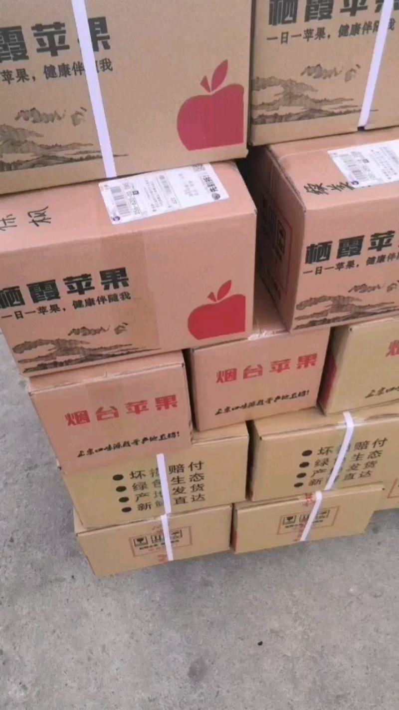 烟台栖霞苹果，产地直发，一手货源，代收，一件代发