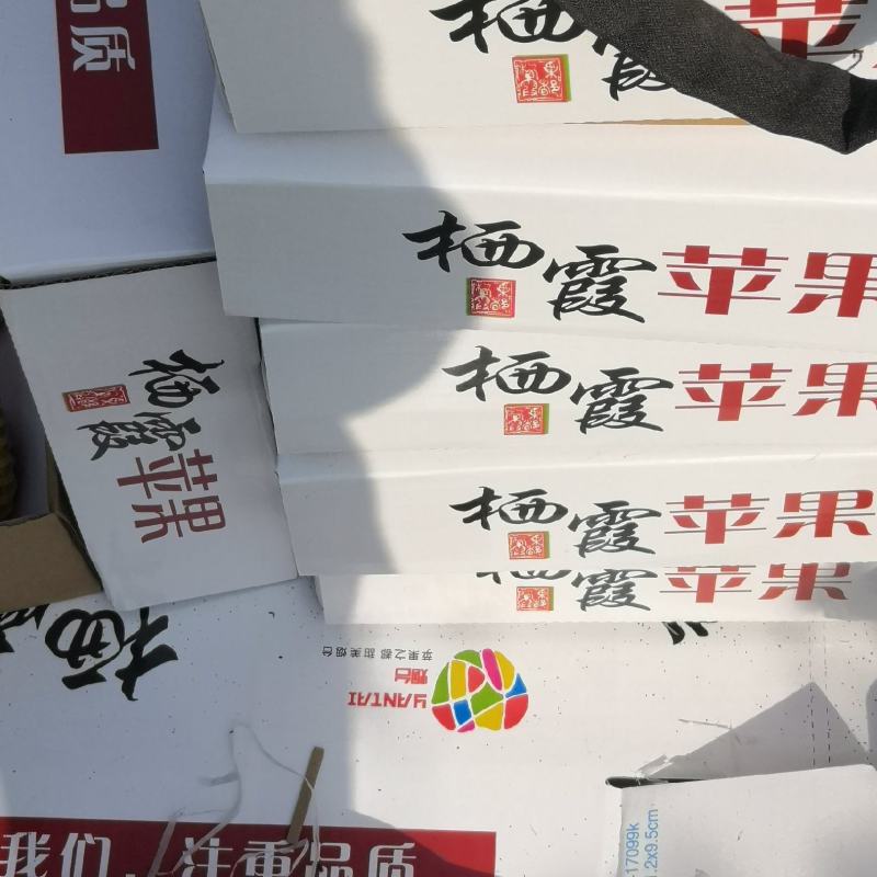 烟台栖霞苹果，产地直发，一手货源，代收，一件代发