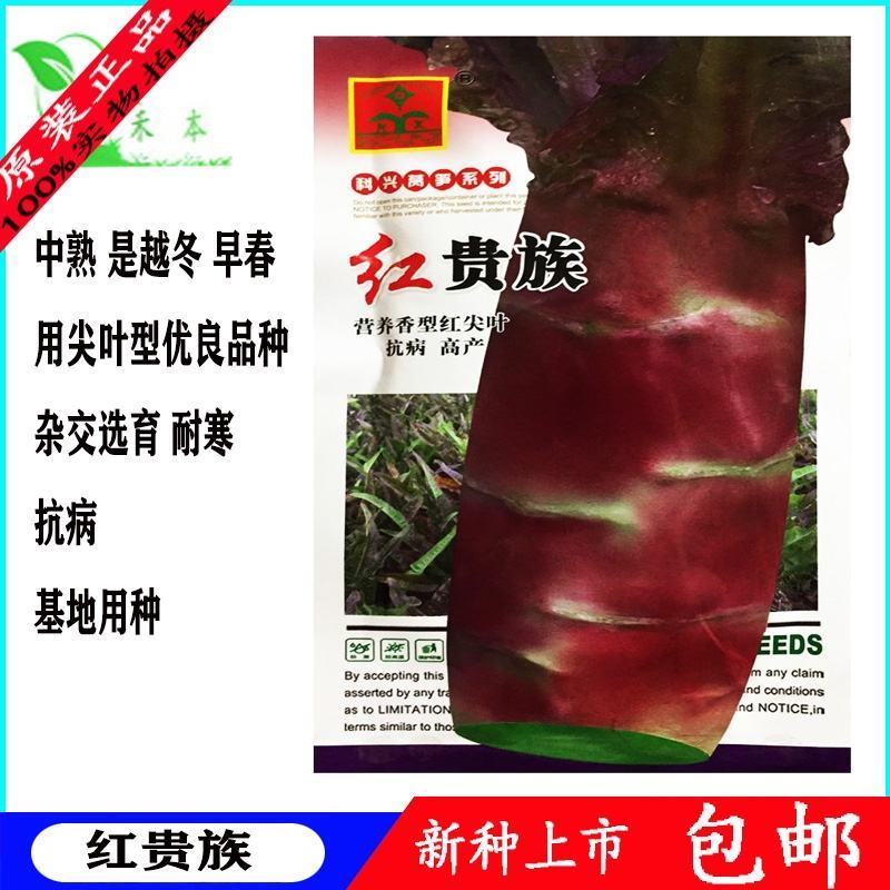 科兴红贵族莴笋种子，30克