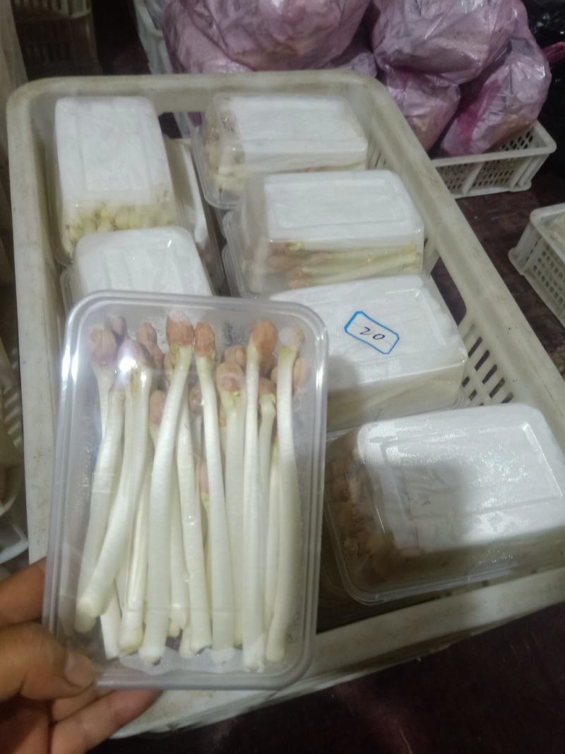 花生芽——直供超市各大电商平台
