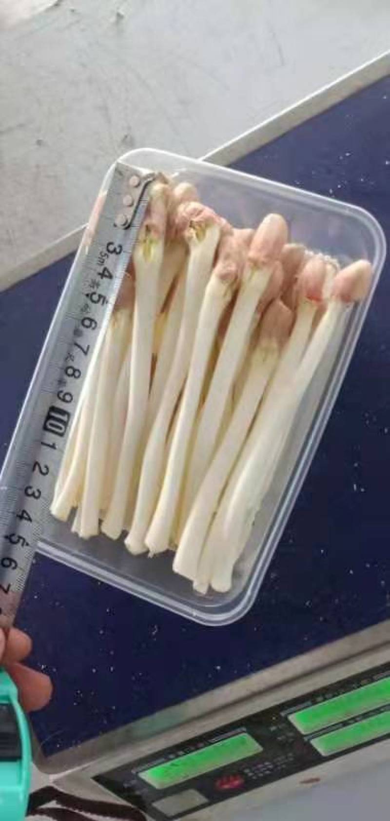 花生芽——直供超市各大电商平台