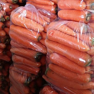 大量供应市场三红胡萝卜，支持各种包装，欢迎来电量大优惠！