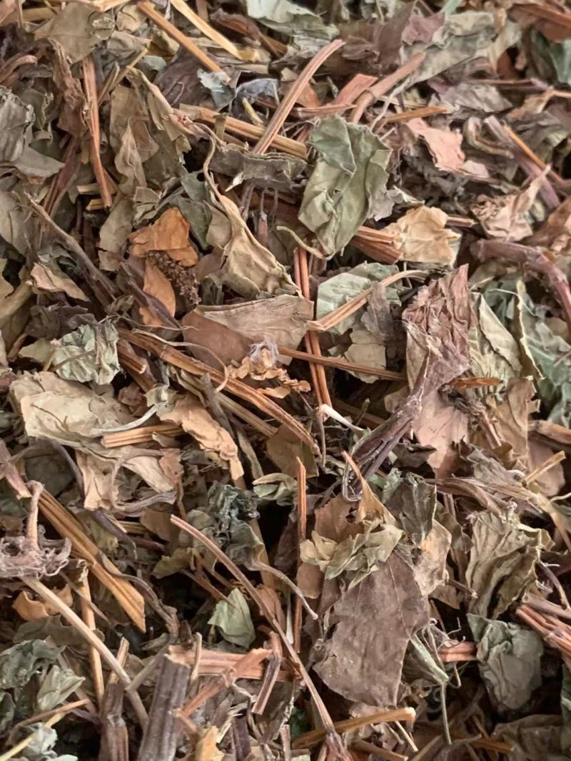 鱼腥草【包邮】三斤起发货可批量可零售量大从优