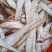大量冷冻冰鲜毛刀鱼