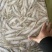 大量冷冻冰鲜毛刀鱼