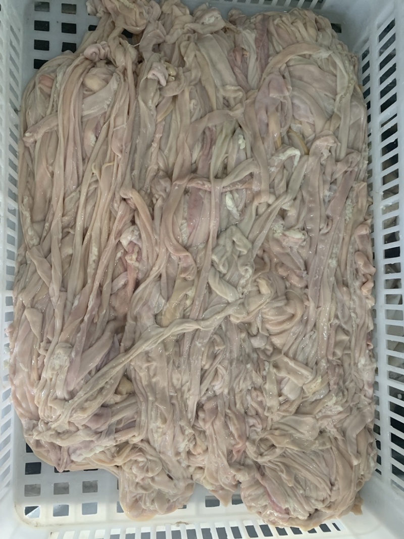 醉朗德精品鹅肠整袋四斤包装火锅腊货专用鹅肠