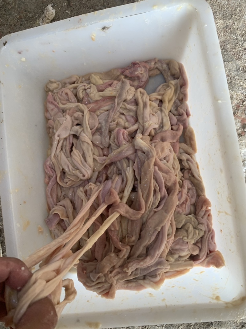 醉朗德精品鹅肠整袋四斤包装火锅腊货专用鹅肠