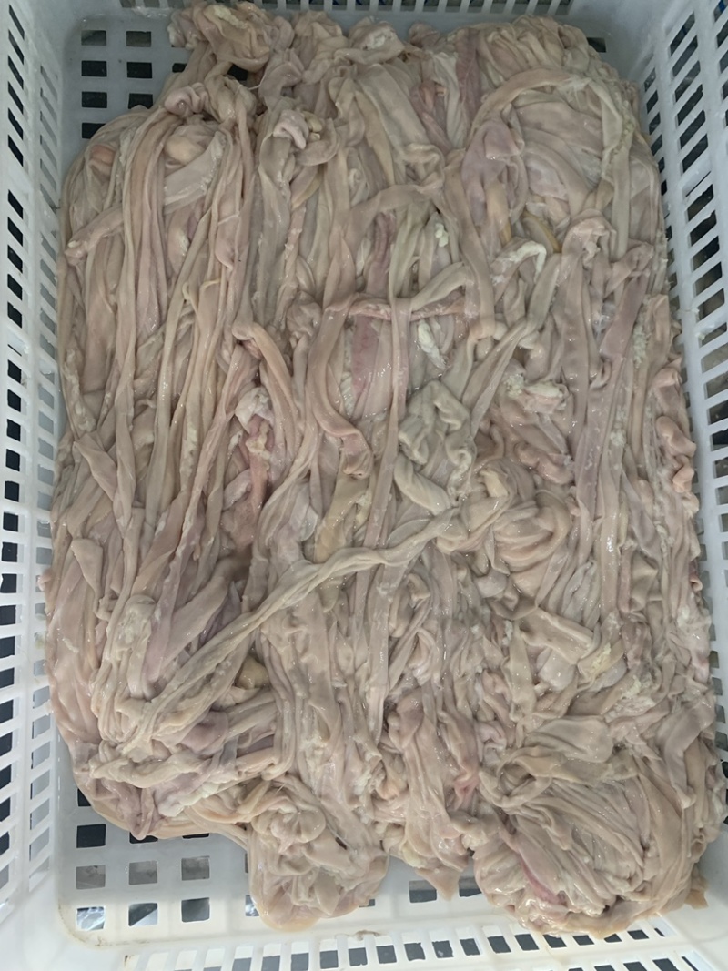 醉朗德精品鹅肠整袋四斤包装火锅腊货专用鹅肠
