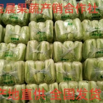 三号白菜，黄心菜各种规格包装均可加工支持商超泡菜场等