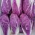 紫罗兰大白菜新鲜农家紫色包心紫白菜当季蔬菜多规格整箱包邮