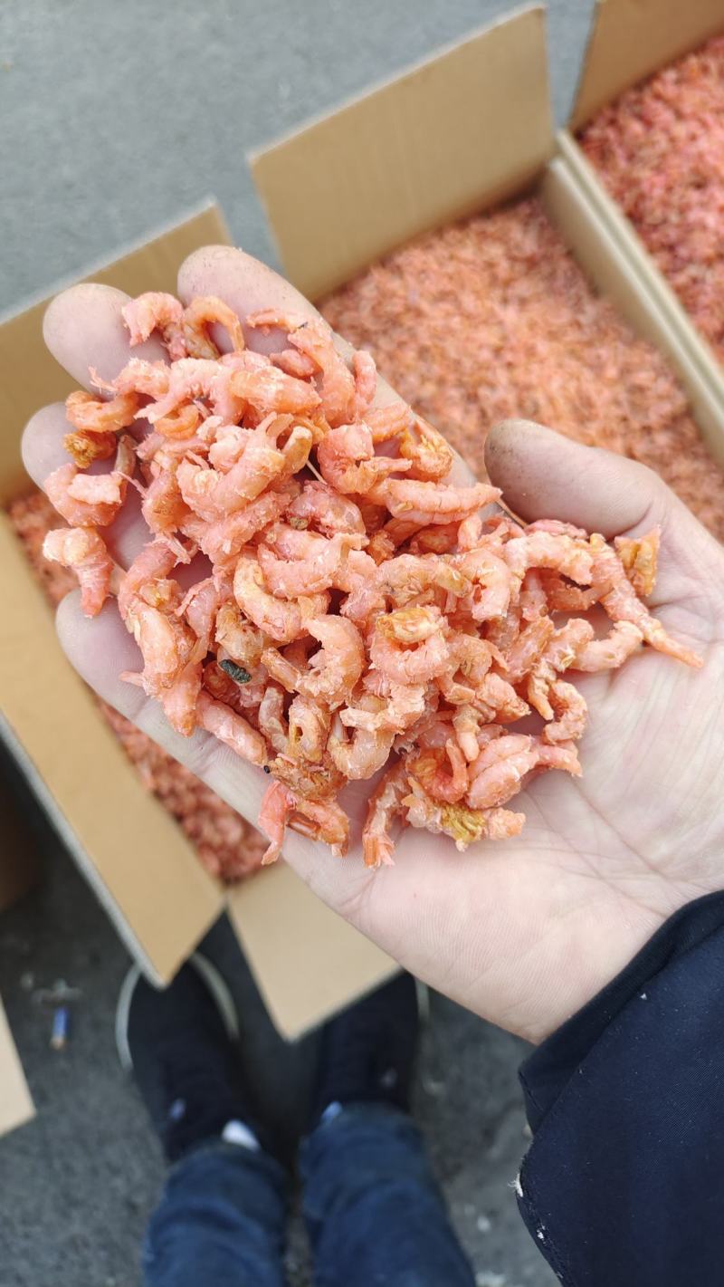 海米，dan干无盐，微盐，各种规格都有