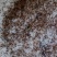 （热销）沙虾虾苗淡水虾苗麻虾虾苗虾苗场直供技术指导