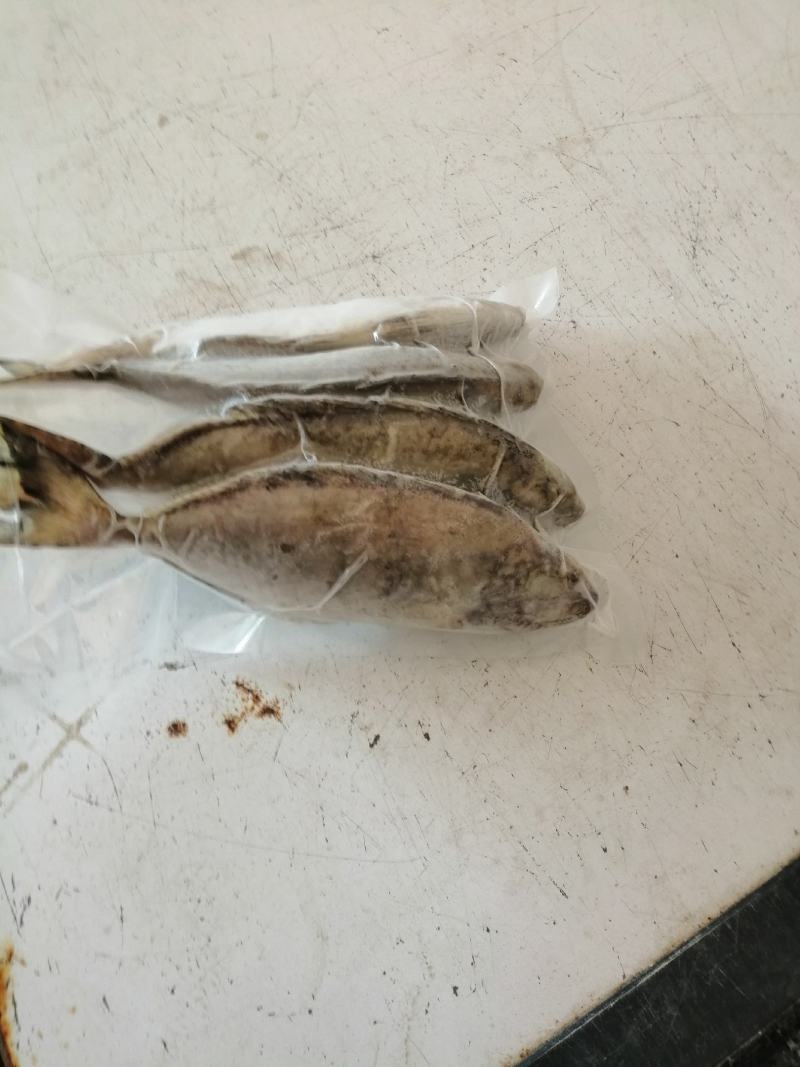 北部湾单冻泥猛鱼，价格连美，品质鲜美，大众适用
