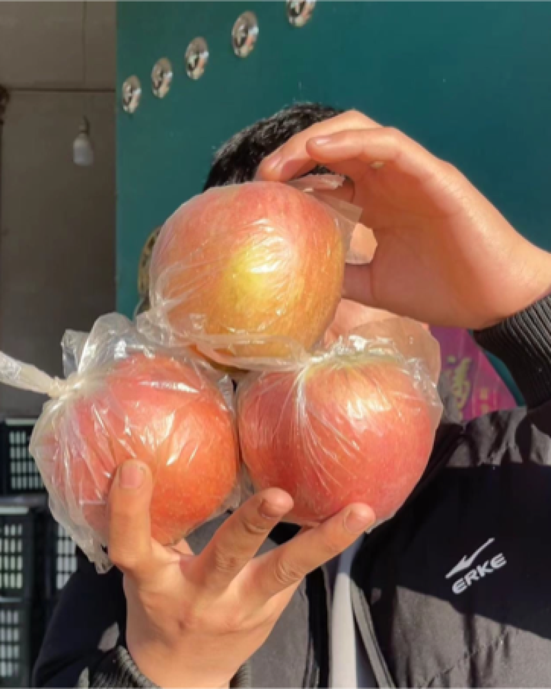 冰糖心红富士苹果，大量供应。产地直销。海量货源。
