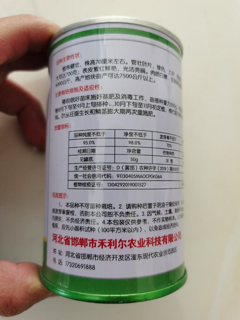 紫美洋葱种子辣少味甜紫圆葱种孑早熟300克水果洋葱