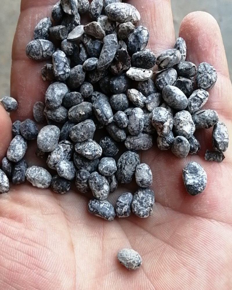 淡豆豉中药材药用无硫大豆豉批发中药材