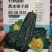 黑皮面瓜甜瓜种子甜度高口感好