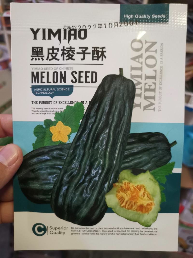 黑皮面瓜甜瓜种子甜度高口感好