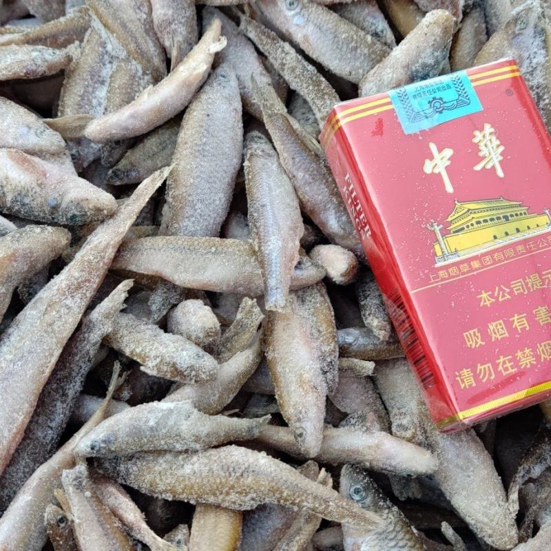散冻麦穗鱼产地批发56789公分单冻麦穗鱼厂家直发详谈