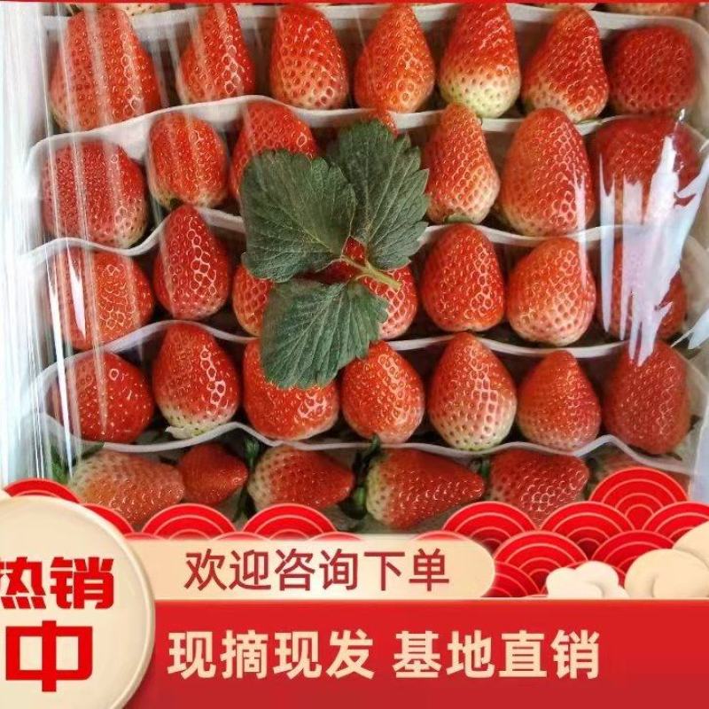 【顺平县】好鲜生久久奶油草莓基地现摘现发