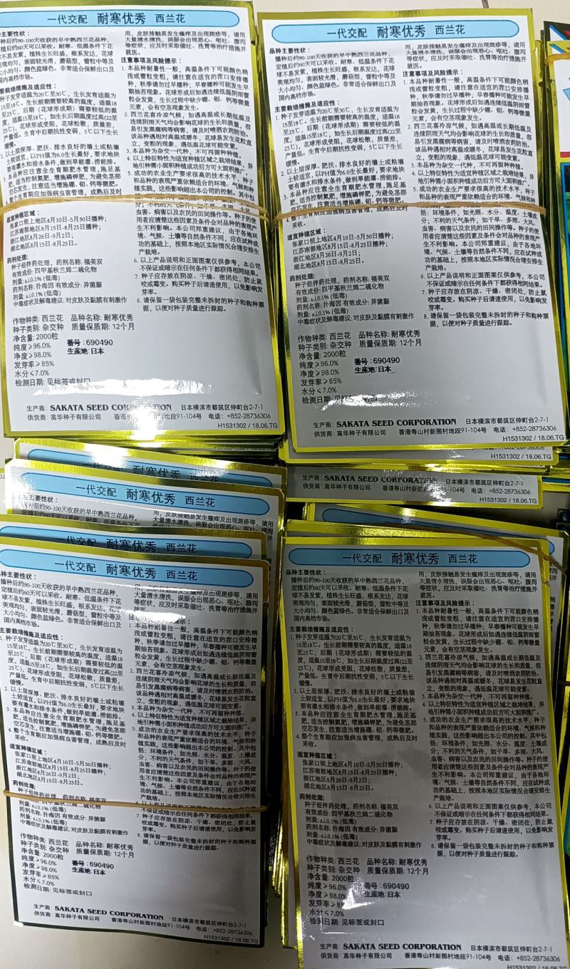 炎秀西兰花耐寒优秀西兰花种子