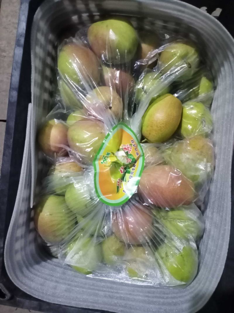 【酥梨】河北产地一手货源承接全网批发市场电商平台质量保障