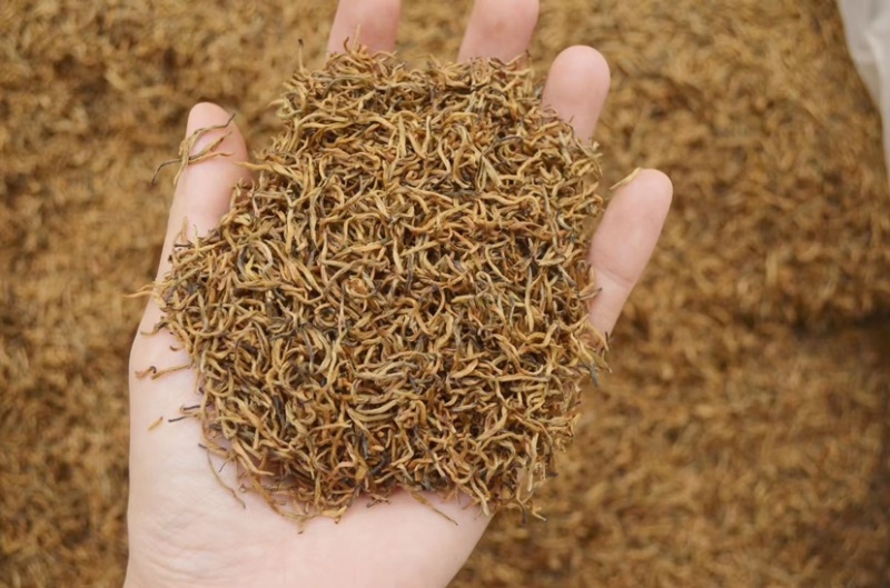 批发金骏眉红茶浓香型清香礼盒装500克