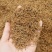 批发金骏眉红茶浓香型清香礼盒装500克