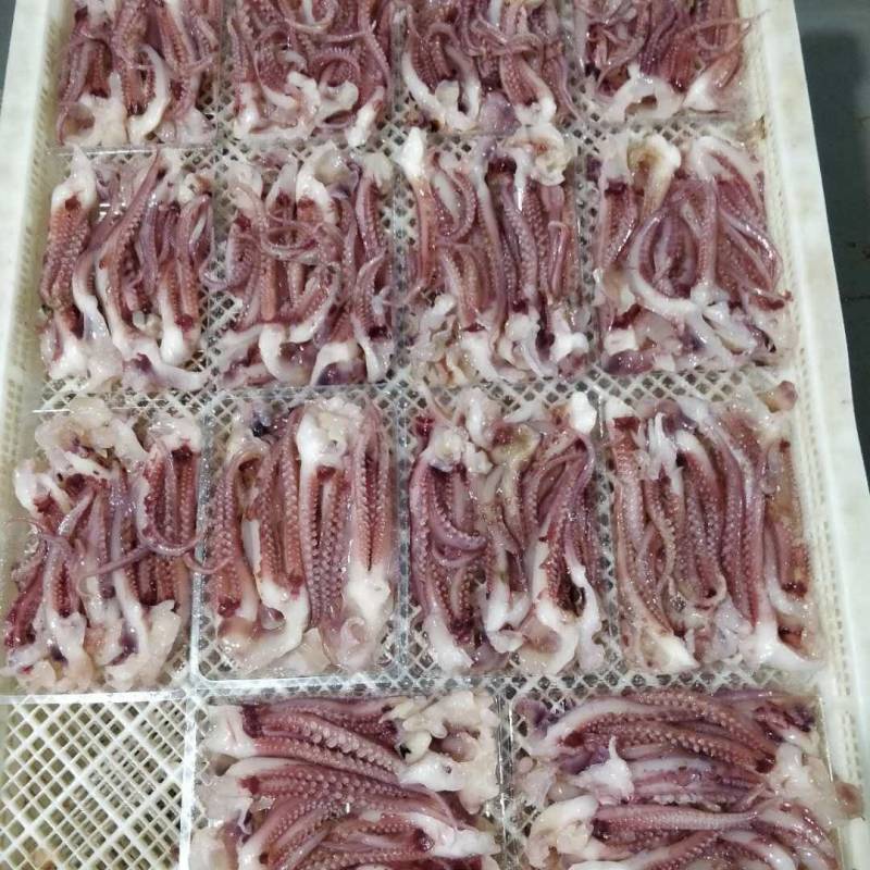 脆口鱿鱼须**电商微商社区团购一件代发质量保证常年有货