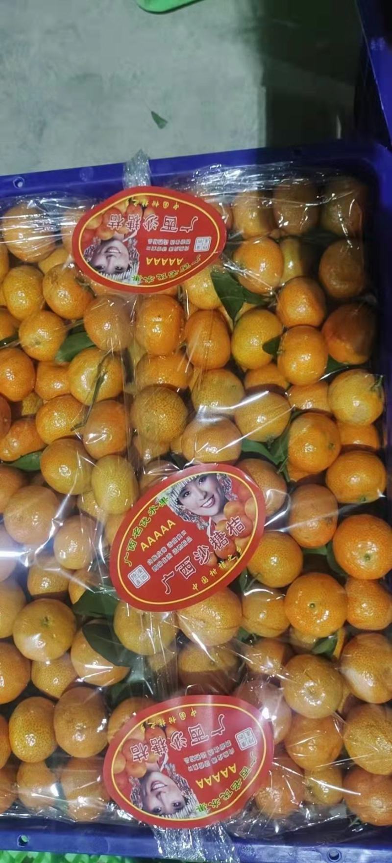 砂糖桔，广西砂糖桔/供大型商超平台/一手货源产地直发！