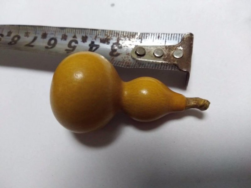 鸟笼葫芦种子宝葫芦特大巨型亚腰葫芦种子手捻葫芦籽观赏盆栽