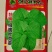 野苋菜种子野汉菜种籽银银菜银青菜种籽四季