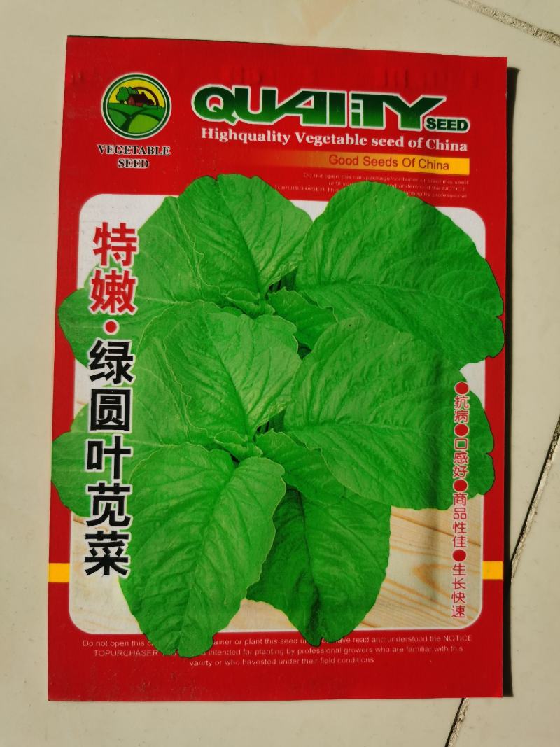 野苋菜种子野汉菜种籽银银菜银青菜种籽四季