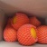 纽荷尔/长红/九月红果冻橙/中华红/果园直供