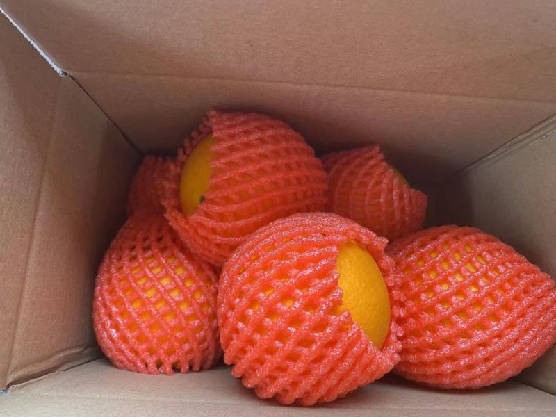 纽荷尔/长红/九月红果冻橙/中华红/果园直供