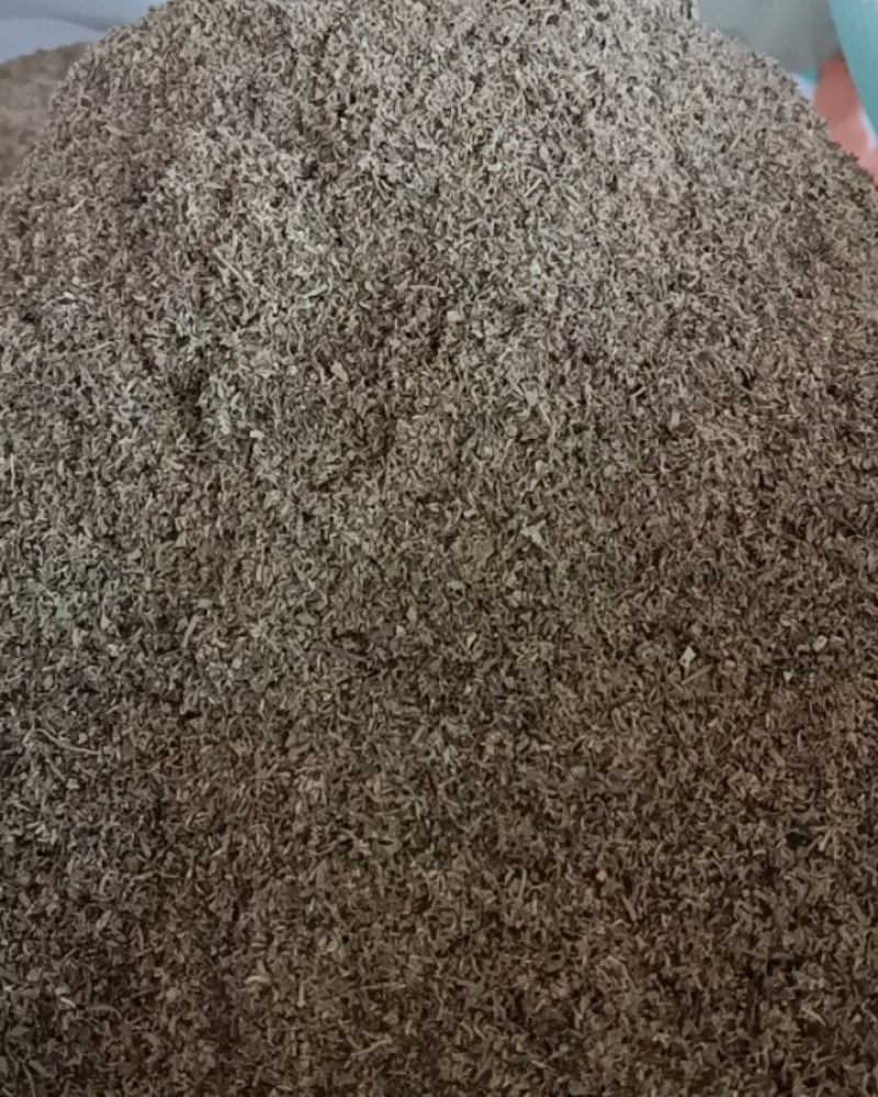 鹅不食草粉