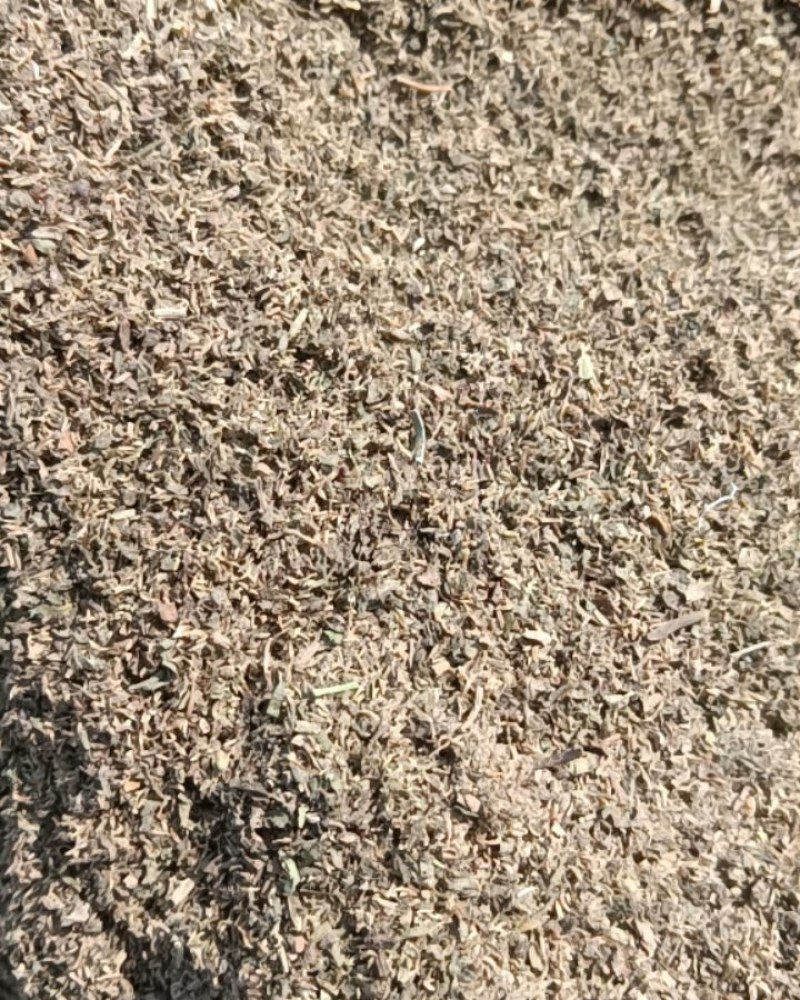 鹅不食草粉