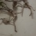 热搜金豆。金豆生庄，熟桩，大量出售，批发，价格便宜，浙江